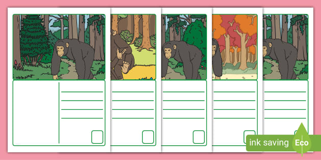 FREE! - A Pack of Colourful Chimpanzee Postcards | Twinkl | KS2