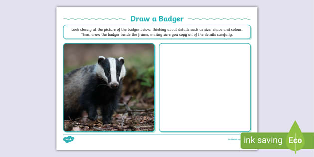 Draw a Badger Art Activity (Teacher-Made) - Twinkl