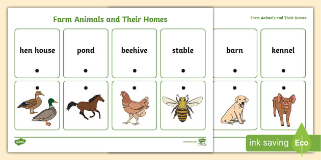 Farm Animals and Their Homes Thread Matching Activity