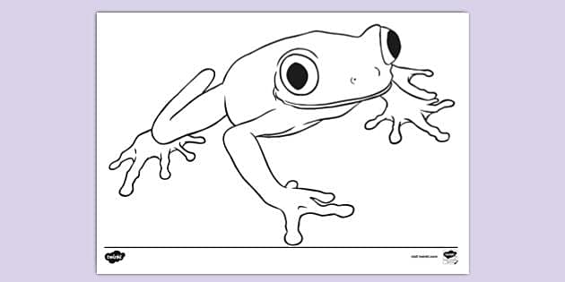 Coloring with Crayons, Coloring the Frog with Crayons