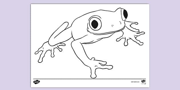 Printable Frog and Lily Pad Coloring Page