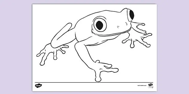 tree frog coloring pages