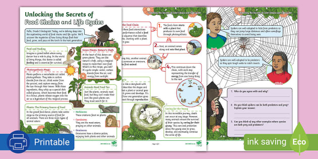 Unlocking the Secrets of Food Chains and Life Cycles Biology Diagrams