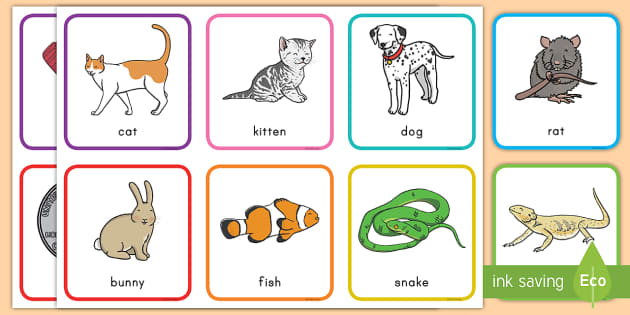 Pets Rhyming Pairs Game | ELA Teaching Resources | Twinkl