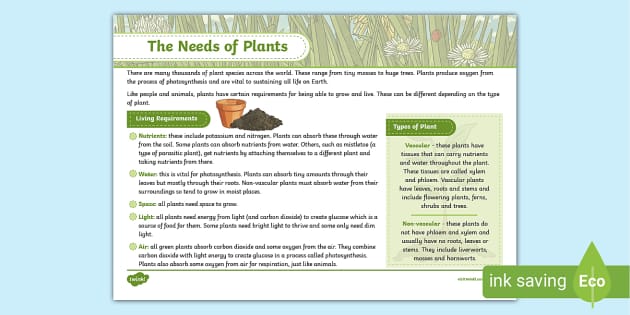 Plants Needs To Grow Fact File - Science (teacher Made)