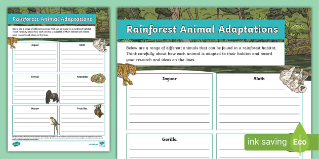Rainforest Animal Adaptations Activity Sheet (teacher made)
