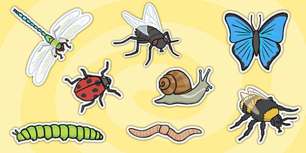 Minibeast Clipart - Detailed Display A4 Cut-Outs - Twinkl