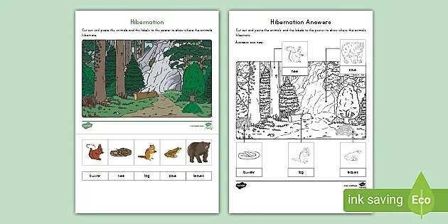 Hibernation Cut Color And Paste Activity Teacher Made