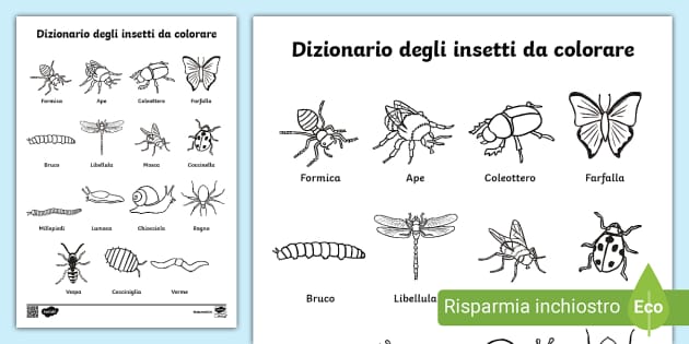 Dizionario degli insetti da colorare (Teacher-Made) - Twinkl