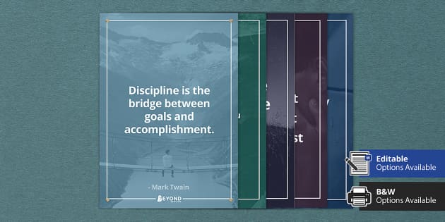 NEW Classroom Motivational Poster Discipline is the Bridge 2