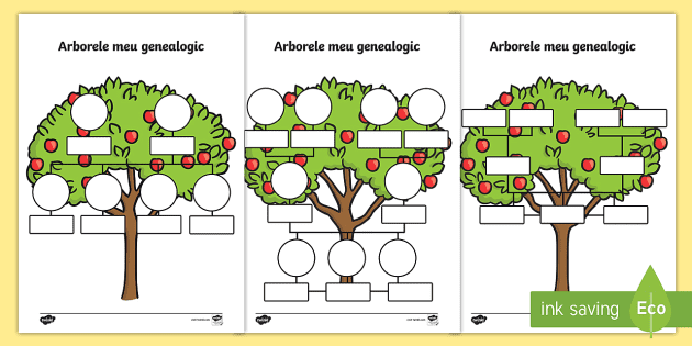 Beak picnic concrete Model Arbore Genealogic al familiei – Fișe de activitate