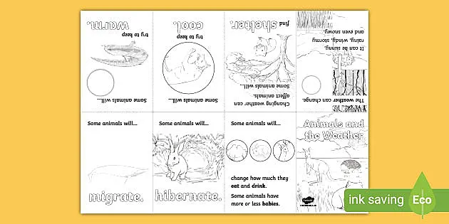 Animals and the Weather Activity Booklet (teacher made)
