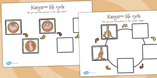 https://images.twinkl.co.uk/tw1n/image/private/t_630_eco/image_repo/f7/59/AU-T-1460-Kangaroo-Life-Cycle-Worksheets.jpg