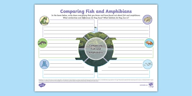 Fish and Amphibians Mind Map (teacher made) - Twinkl