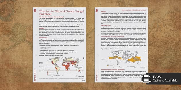 What Are the Effects of Climate Change? Fact Sheet | Beyond