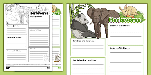 Herbivores Fact File Template (teacher-made) - Twinkl