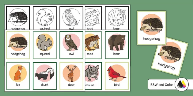 Woodland Animal Matching Game (Teacher-Made) - Twinkl