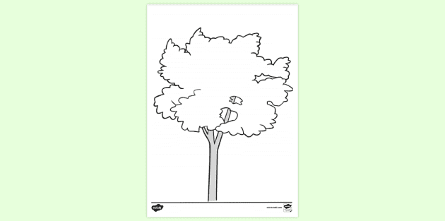 Maple tree sketch (watercolours + watercolour pencils)