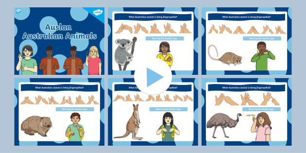 Auslan Australian Animals PowerPoint - Twinkl