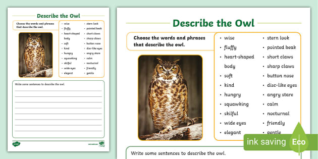 owl english essay writing