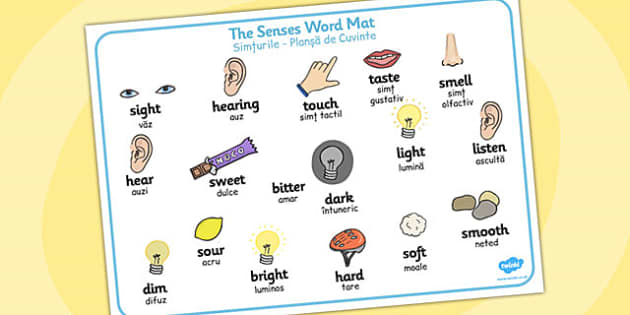 The Senses Word Mat Romanian Translation Teacher Made