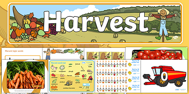 Eyfs Harvest Festival Resource Pack Teacher Made Twinkl | Hot Sex Picture