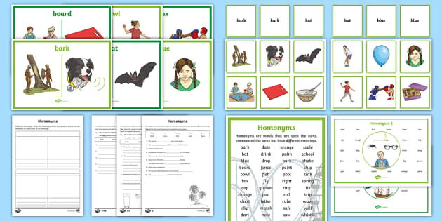 Homonyms Activities 1, Language Skills Task Cards, Multiple Meanings