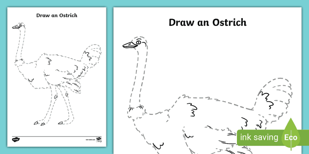 How to draw an Ostrich - in easy steps for children, kids, beginners -  YouTube