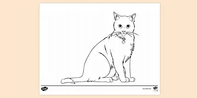 t tp 2666218 pets cat ginger colouring sheet ver 2
