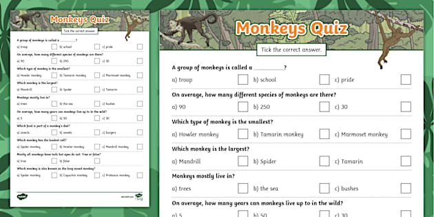 Monkeys General Knowledge Quiz (teacher made) - Twinkl