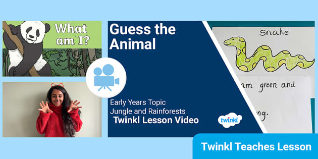 Guess the Animal Video Lesson | Kindergarten Jungle and Rainforests