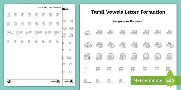 tamil vowels letter formation teacher made