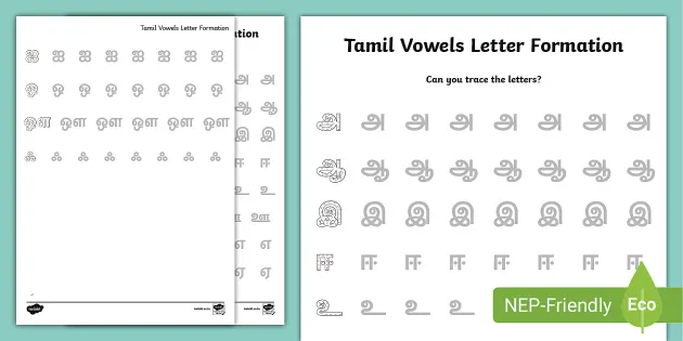 free tamil vowels letter formation teacher made