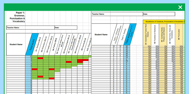 assessment of functional living skills scoring grid excel