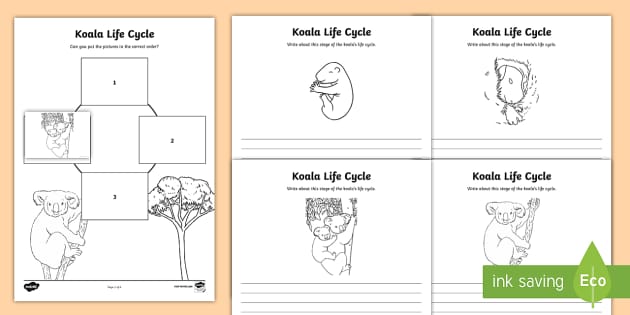 Koala Life Cycle Printables in 2023  Life cycles, Animal life cycles, Flip  book examples