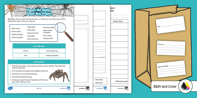 Spider Research Graphic Organizer (Teacher-Made) - Twinkl