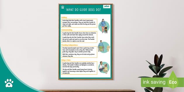 What do Guide Dogs Do? - Display Poster - Dog - Twinkl Pets