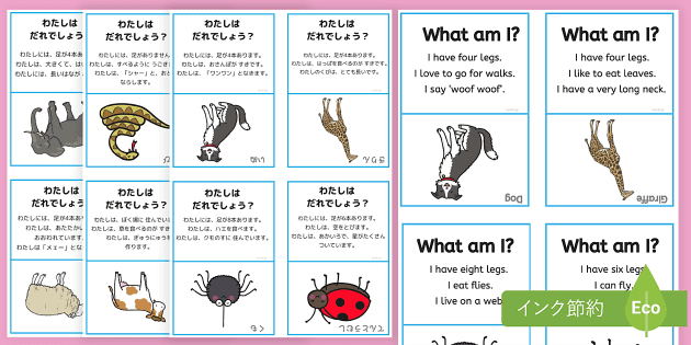 わたしはだれでしょう？】動物のカードゲーム 日本語版 What Am I