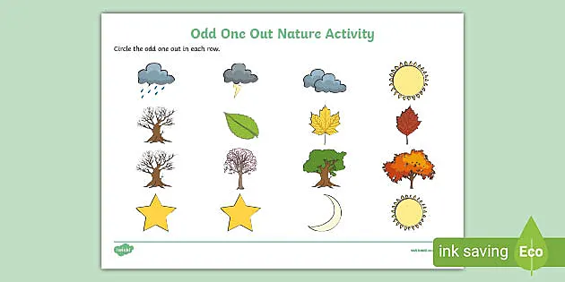 Odd One Out Nature Worksheet Lehrer gemacht Twinkl