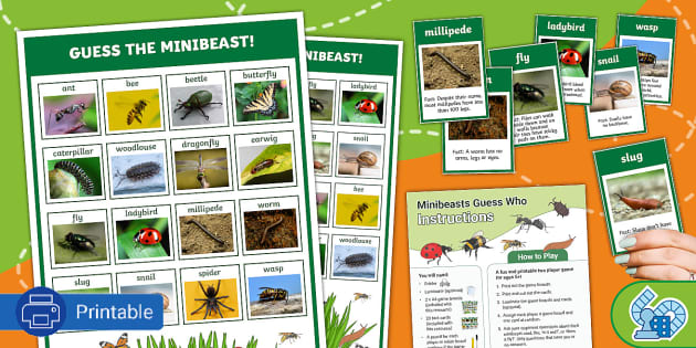 Minibeasts Guess the Picture Board Game - Minibeast Games