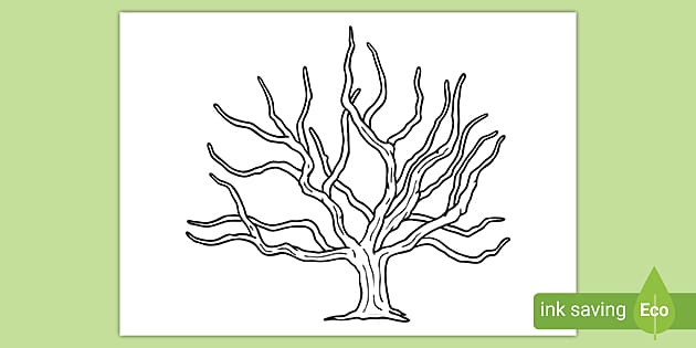 tree template teaching resources teacher made