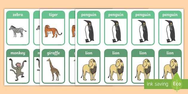 Zoo Vocabulary Snap Cards (teacher made) - Twinkl