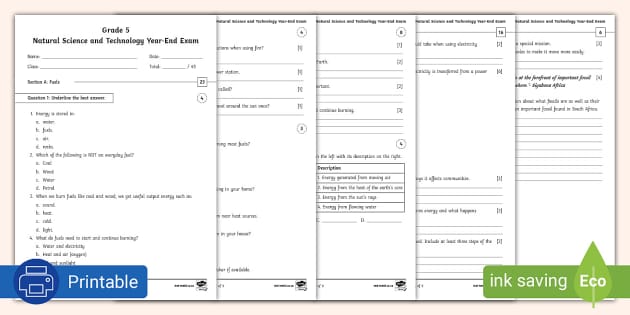 Grade 5 NS Tech Exam Papers | Natural Sciences | Twinkl SA