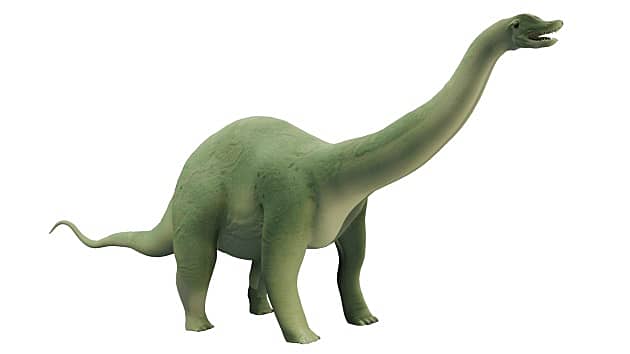 Apatosaurus Augmented Reality (AR) 3D Model