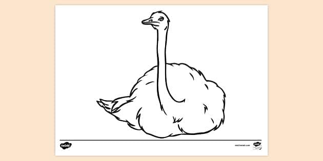 How to Draw an Ostrich