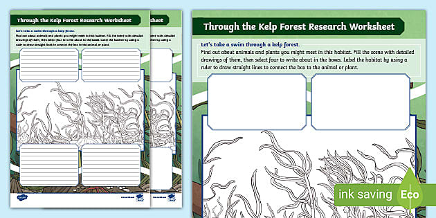 underwater-kelp-forest-research-worksheet-for-children