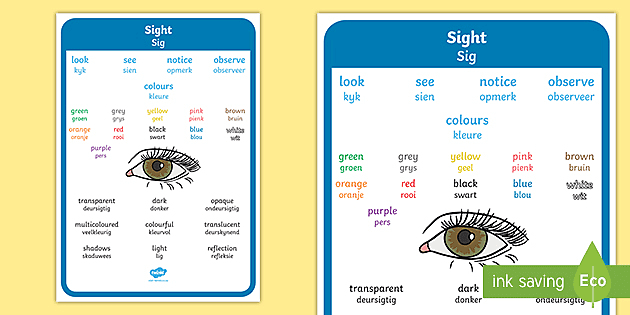 Touch Vocabulary Display Poster (Teacher-Made) - Twinkl