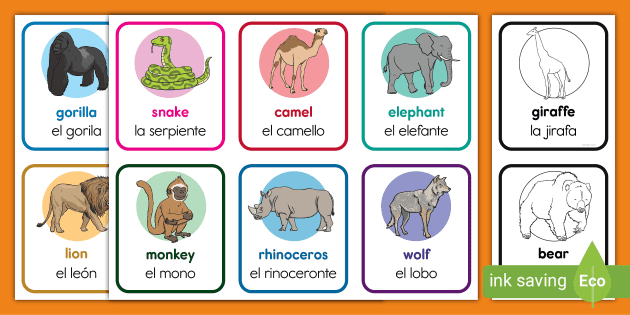 Zoo Animals in English/Spanish Matching Cards | Twinkl USA