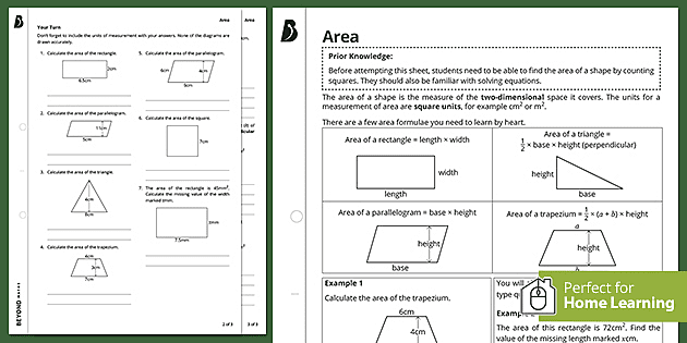 year 7 year 8 maths area worksheet beyond