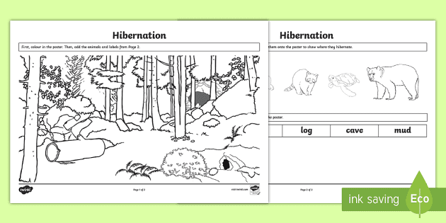 hibernation clipart black and white